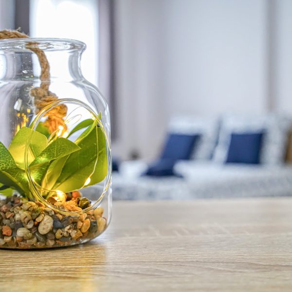 lachkar_bsk_241224-18